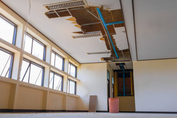 Best Fire Damage Restoration  in Prairie Creek, AR