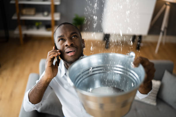 Best Sewage cleanup and water damage restoration  in Prairie Creek, AR