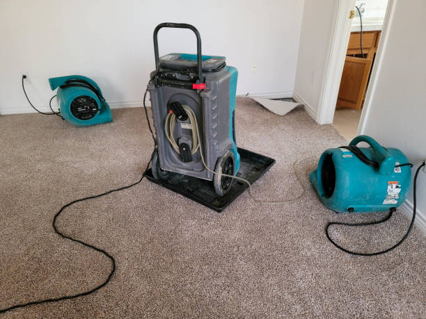 Best Water damage restoration near me  in Prairie Creek, AR
