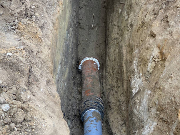 Best Flood damage cleanup  in Prairie Creek, AR