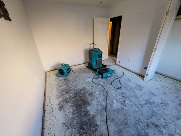Best 24-hour water damage restoration  in Prairie Creek, AR