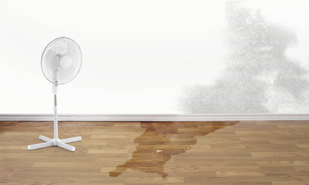 Best Emergency water damage restoration  in Prairie Creek, AR