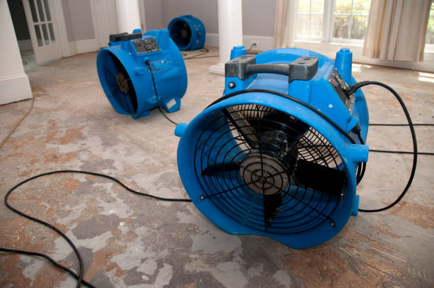 Carpet water damage restoration in AR