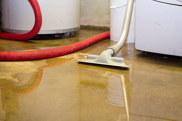 Best Professional water damage repair  in Prairie Creek, AR