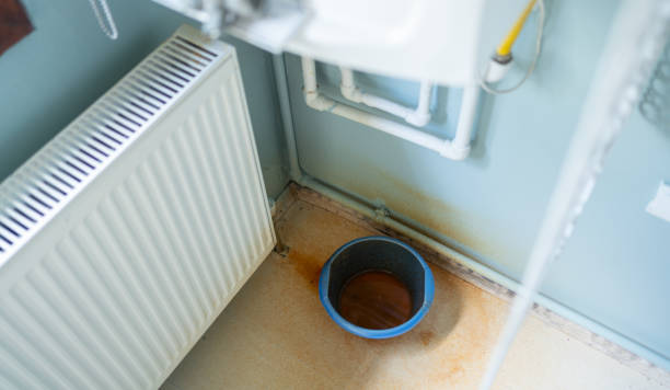 Best Water damage restoration near me  in Prairie Creek, AR