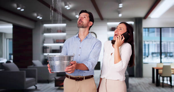 Best 24/7 water damage repair  in Prairie Creek, AR