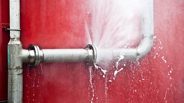 Best Basement water damage restoration  in Prairie Creek, AR